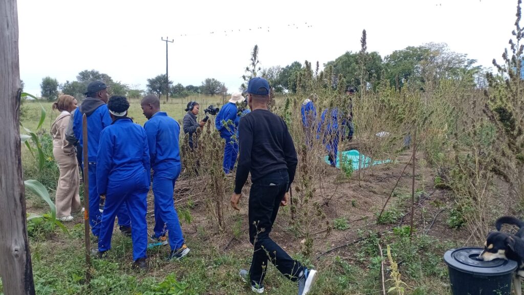 Field visit and demonstration from the Hempsphere shared archive